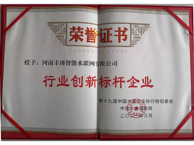 行業(yè)創(chuàng)新標(biāo)桿企業(yè)